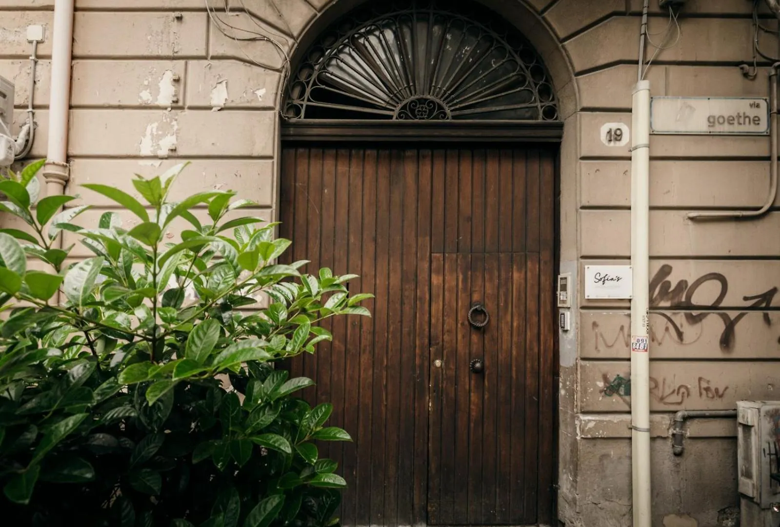 Sofia'S Central Apartment Palermo